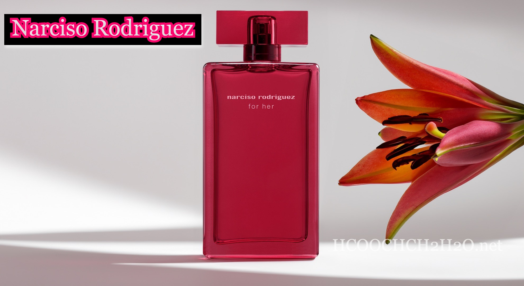 Narciso Rodriguez